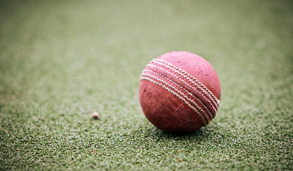 Jack Dulson Cricket Festival 2022